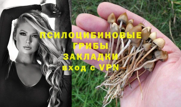гидропоника Белокуриха