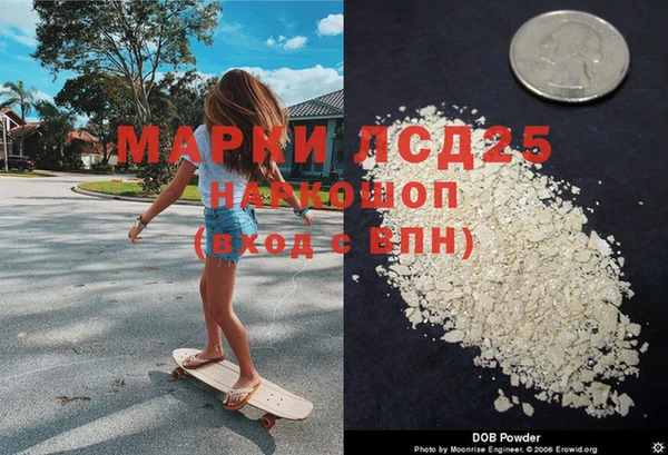гашик Беломорск