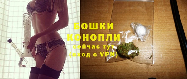 сатива Белоозёрский